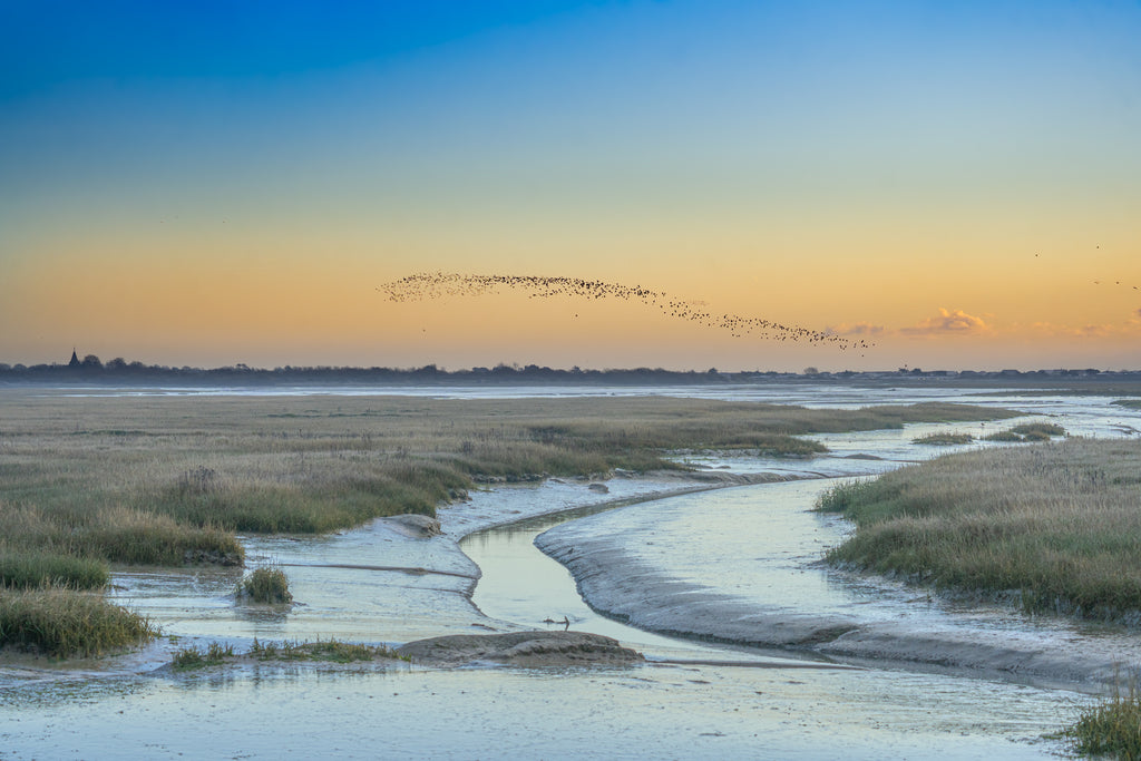 'January Morning at Pagham Harbour' Canvas Print
