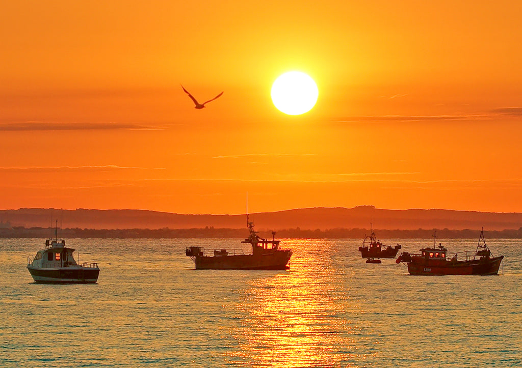 'Sunrise Serenity' Canvas Print