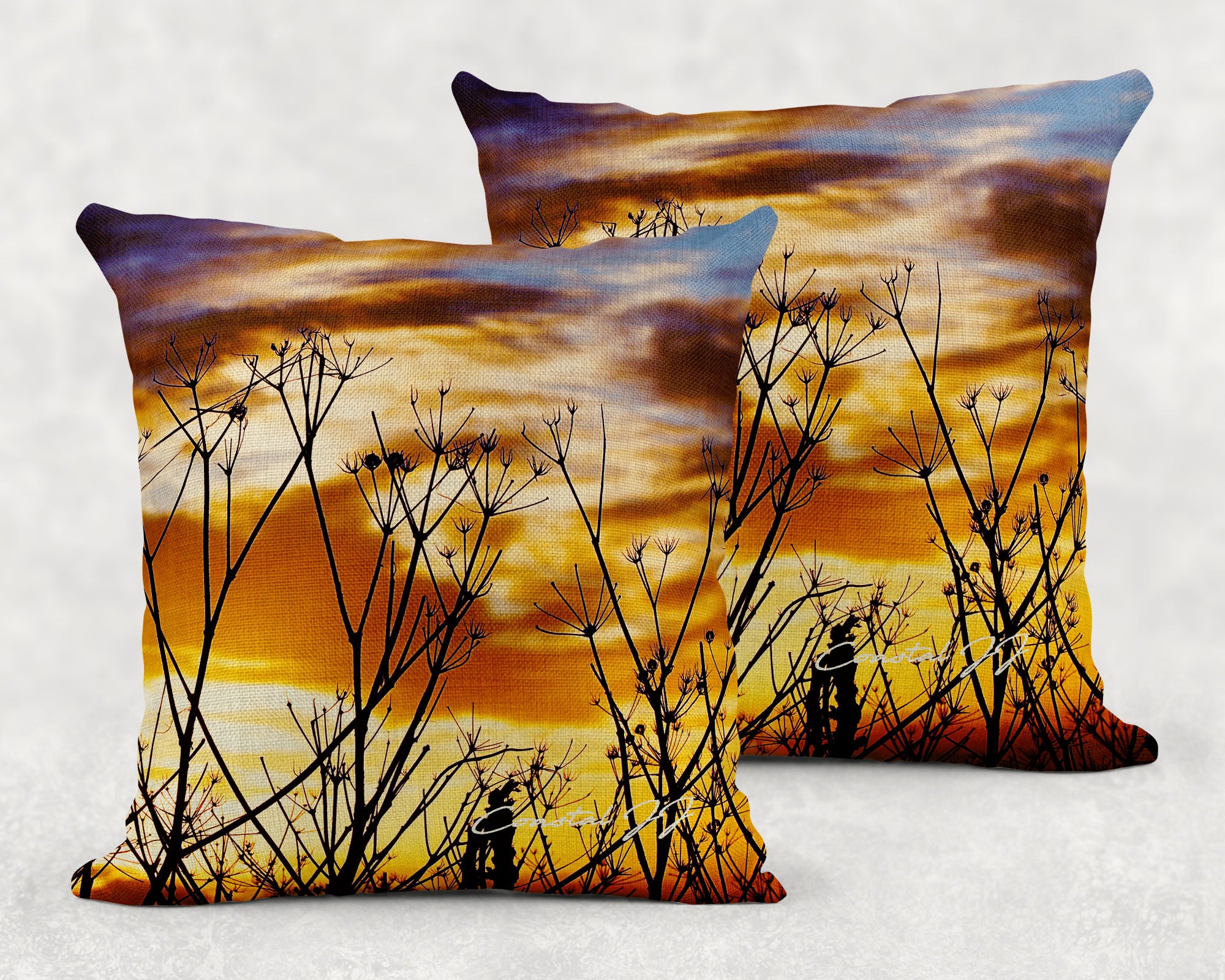 'Seashore Seed Heads on an Autumnal Evening' - Large Sofa Cushion