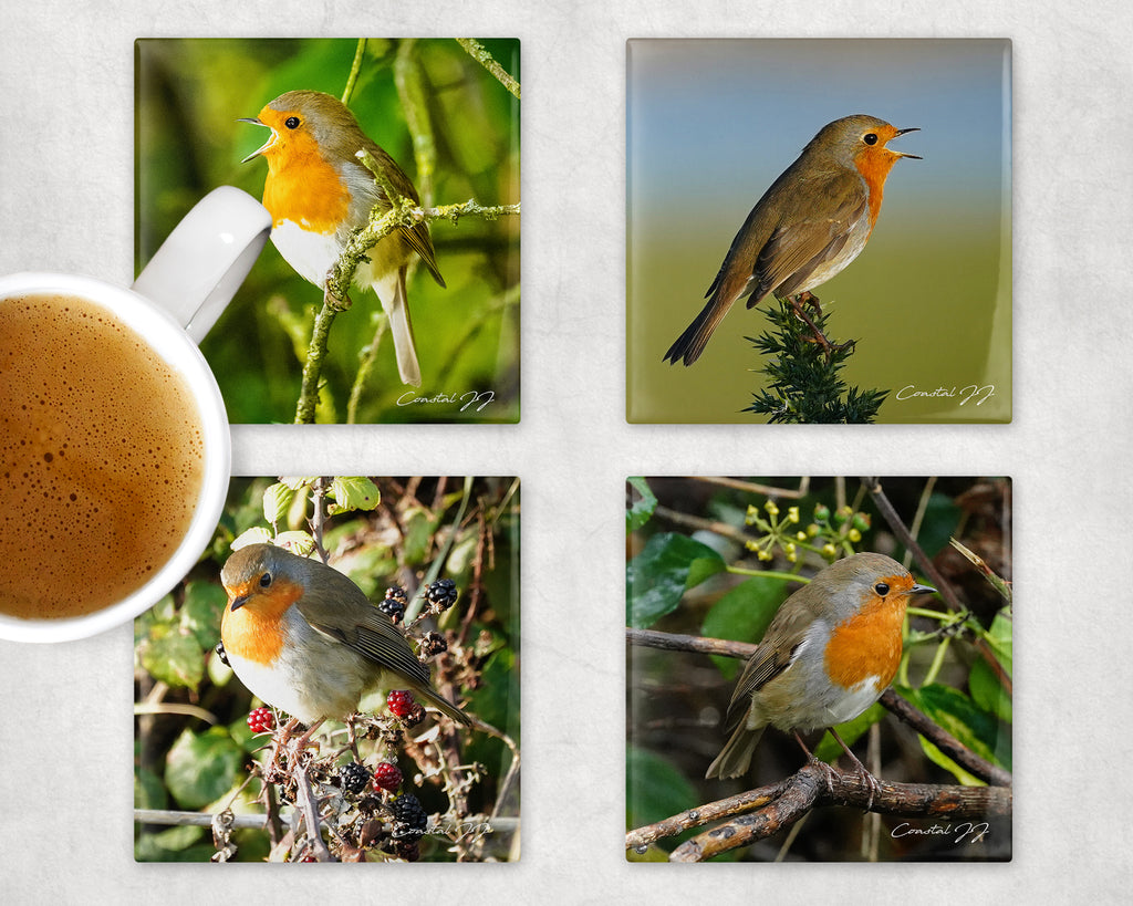 'Robin Redbreast' Coasters - PACK OF 4