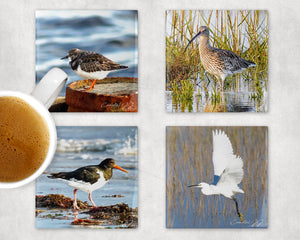 'Coastal Birds I' Coasters - PACK OF 4