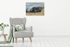 'Just Relaxing' Canvas Print